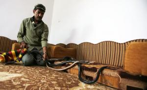 FOTO: AA / Jordanac u kući sa zmijama